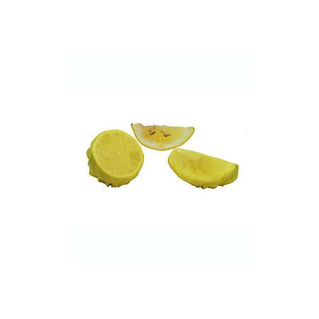Fundas para limón Simply Essential™, Set de 12 piezas